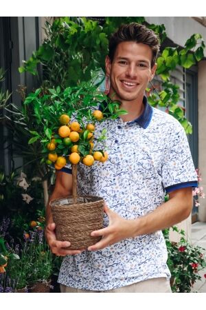 A Fish Named Fred Polo citrus 95/5% Cotton/Elas 071 Multicolor Blue 071 Multicolor Blue