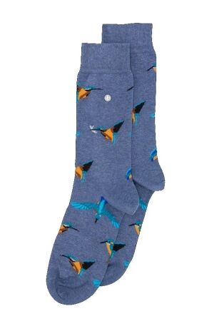 Alfredo Gonzales Kingfisher Blue Melee 129 Blue Melee 129 Blue Melee