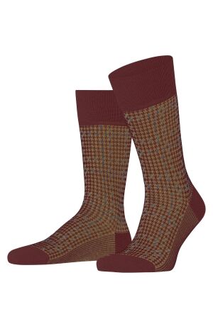 Falke Family Special Edition 5950 cayenne 5950 cayenne Falke Family Special Edition 5950 cayenne 5950 cayenne