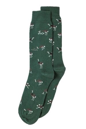 Alfredo Gonzales Ostrich 118 Army 118 Army Alfredo Gonzales Ostrich 118 Army 118 Army